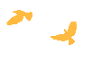 5.gif