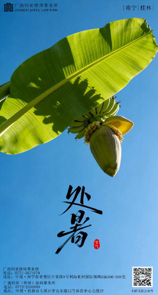 44cf48de-c924-4191-976b-bb0bf354d076.png